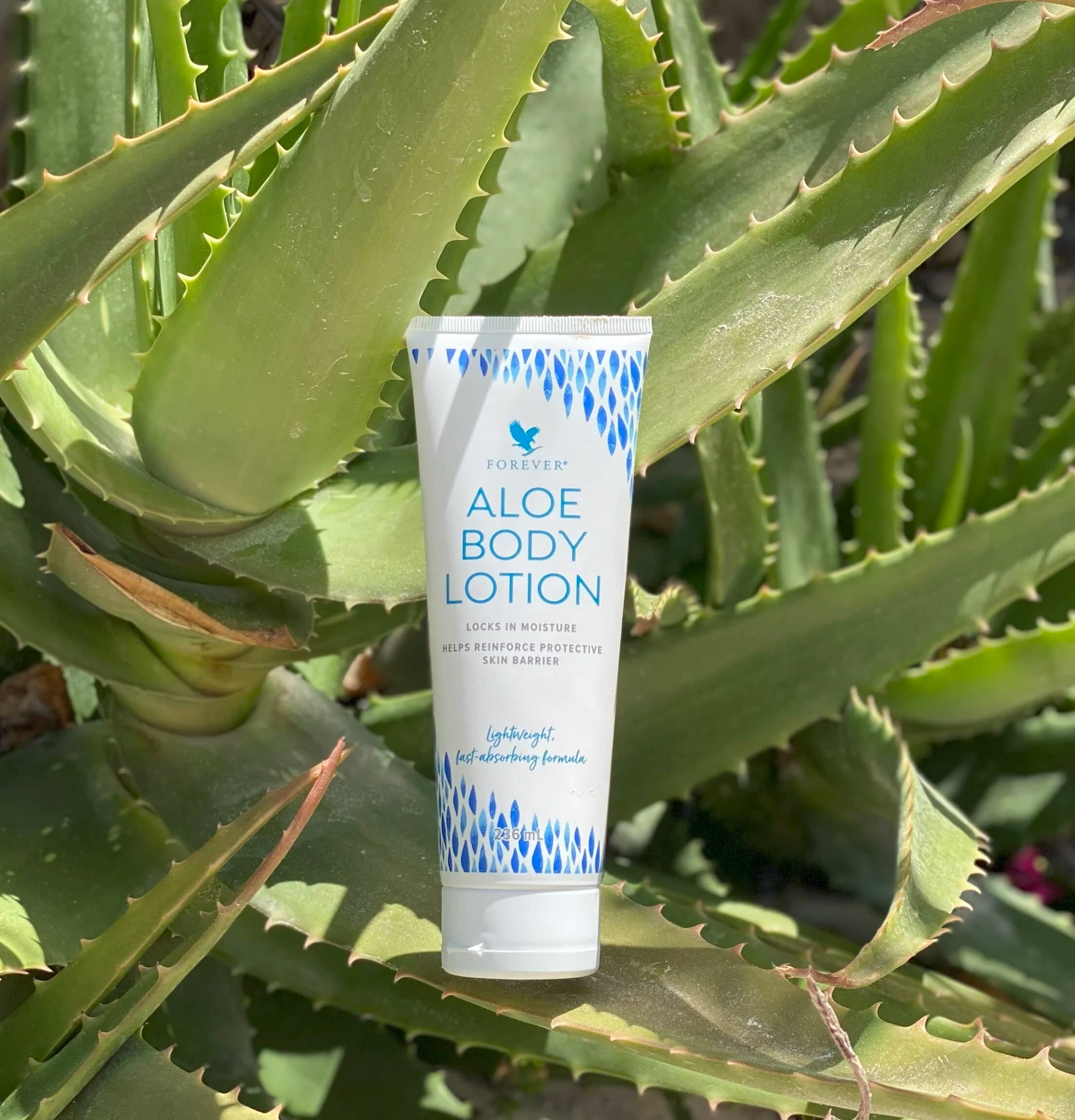 Miniature 3 de Aloe Body Lotion - Crème de corps Forever